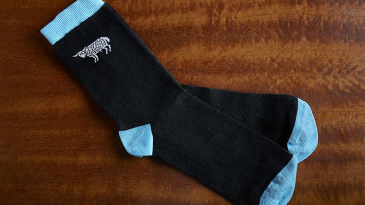 socks blue 800x533.jpg (1)